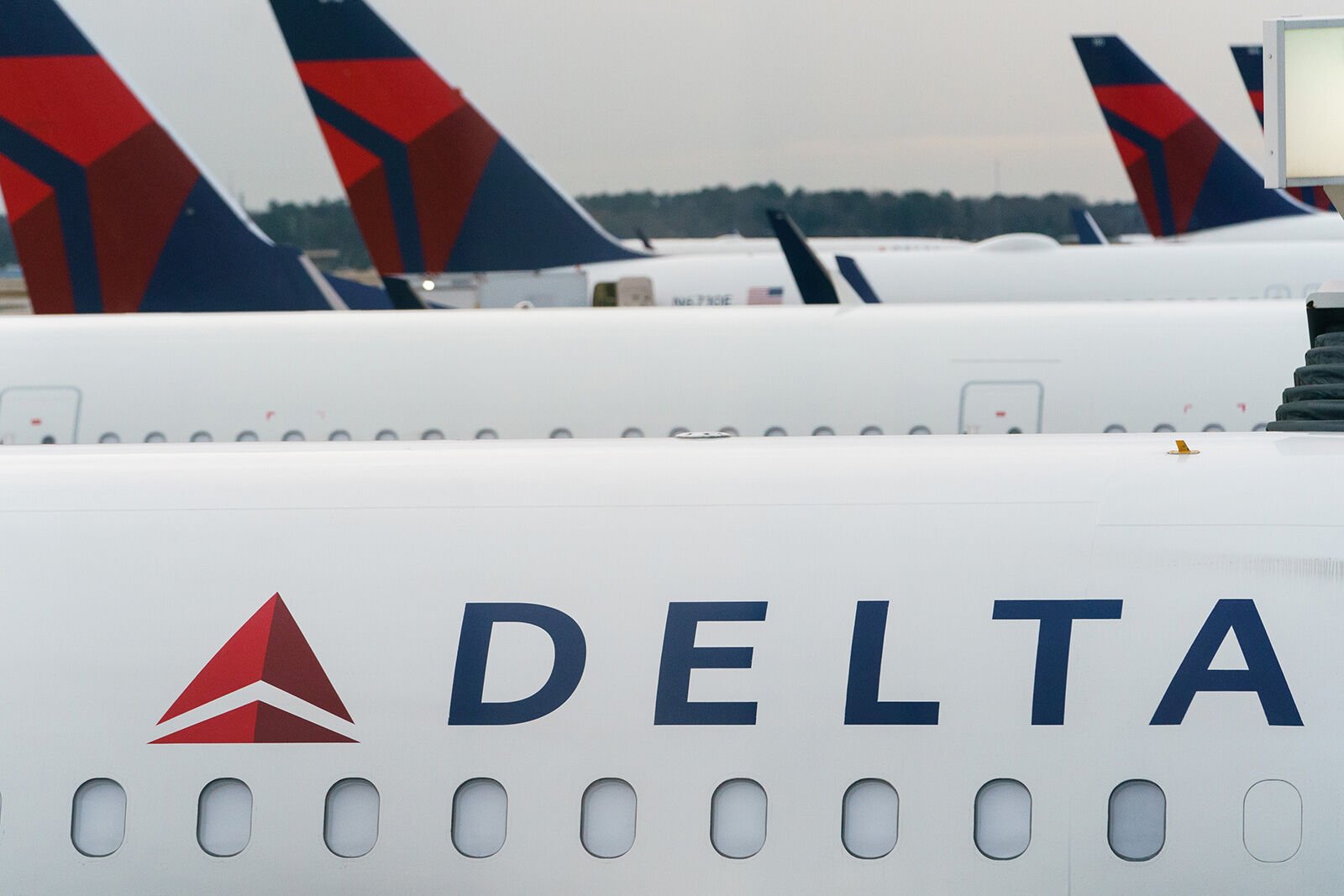 Swarm of bees delays a Delta flight by three hours